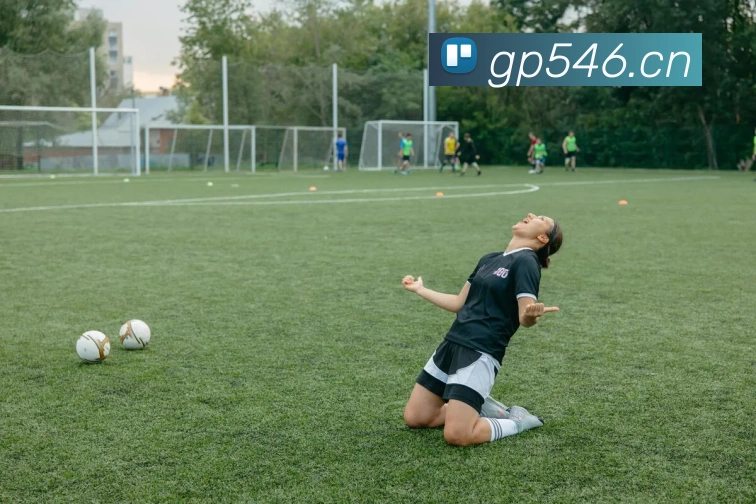 App Interface Preview