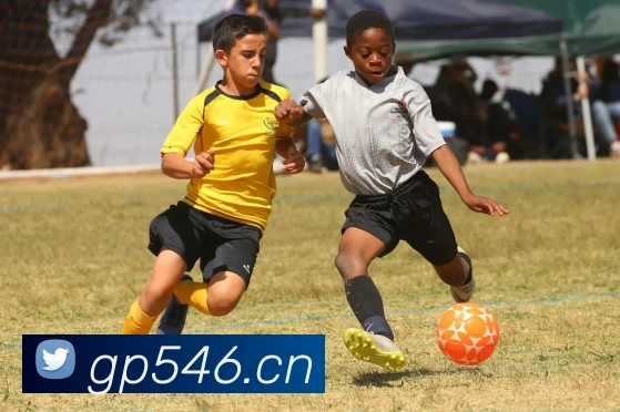 开云官方登陆入口APP 封面图